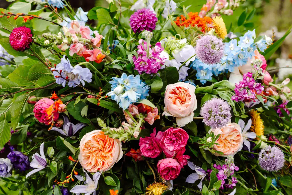 a large and vibrant collection of flowers